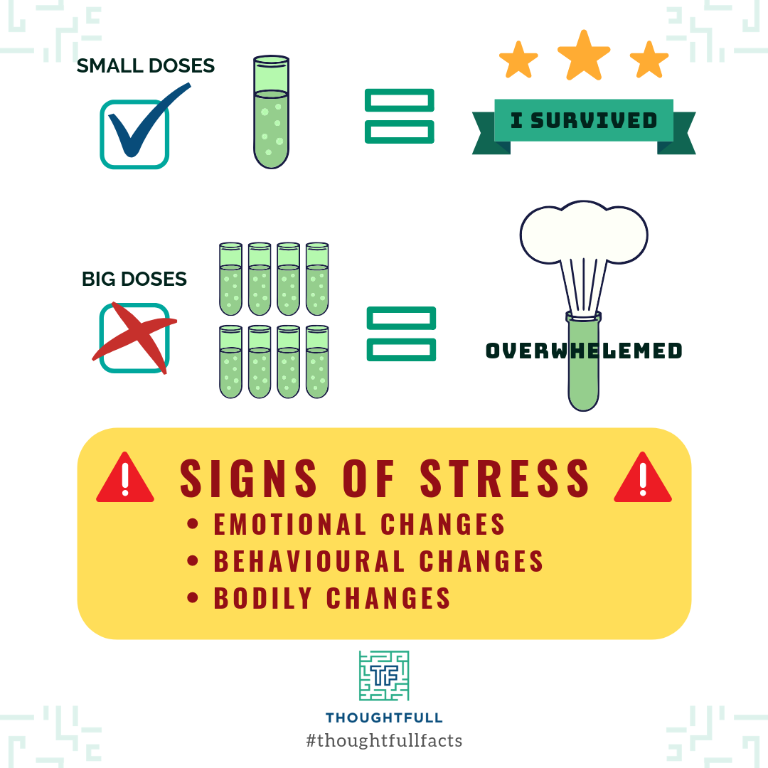 Signs Of Stress